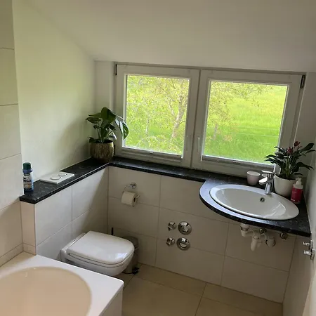 Gabelmann Muehle Apartmán