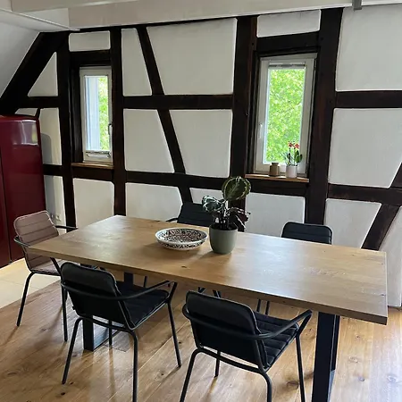 Gabelmann Muehle Apartmán